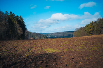 Hiking route in upper palatinate