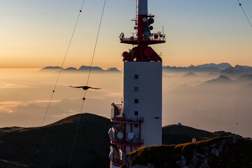 Birds flying around the radio tower with panoramic sunrise view from Dobratsch on Julian Alps and...