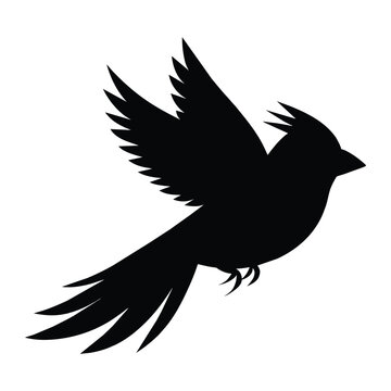 recommend clip art: silhouette of a cardinal on white