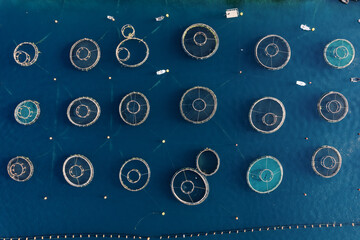 Round cages of a fish farm in the sea, fenced with buoys. Top view