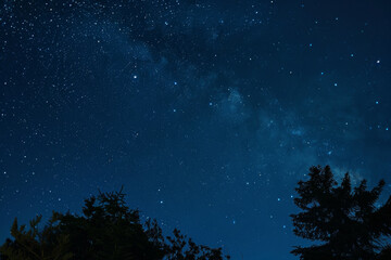 Fototapeta premium The sky is dark and filled with stars