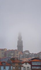 Church of the Clerics, baroque from the 17th century, standing out among the houses and roofs of...