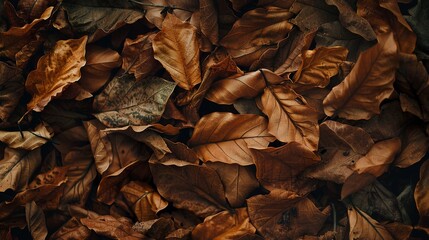 close up dry leaf - obrazy, fototapety, plakaty