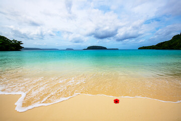 Tropical champagne beach with sky, sea and a red hibiscus flower