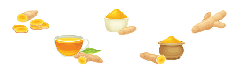 Turmeric Plant with Root as Cooking Flavor Vector Set
