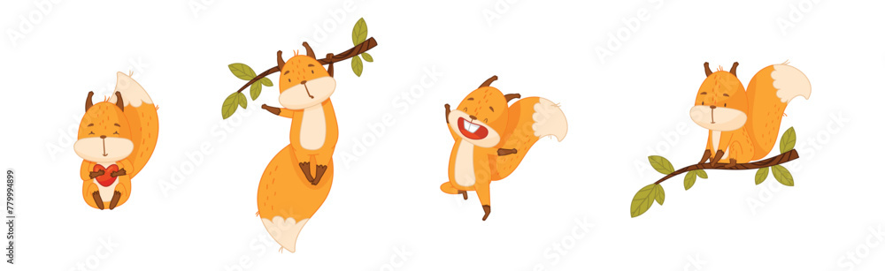 Poster cute squirrel character with bushy tail engaged in different activity vector set