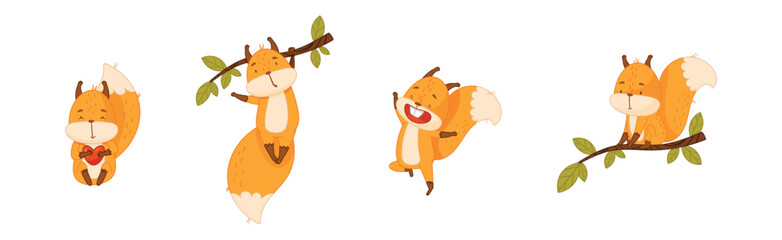 Cute Squirrel Character with Bushy Tail Engaged in Different Activity Vector Set