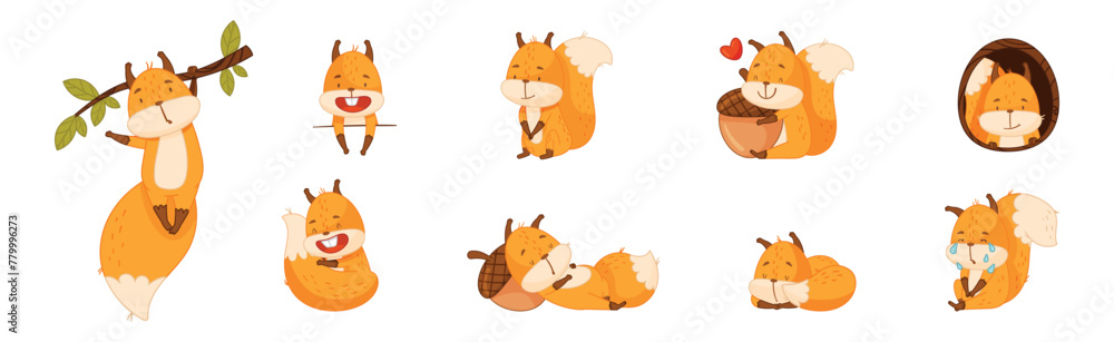 Poster cute squirrel character with bushy tail engaged in different activity vector set