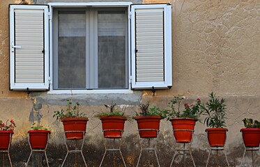 Window of a residential building with open shutters, flower pots with wilting plants
