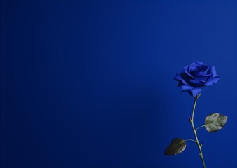 Blue rose on the right side of the frame with a dark blue background in a minimalist style