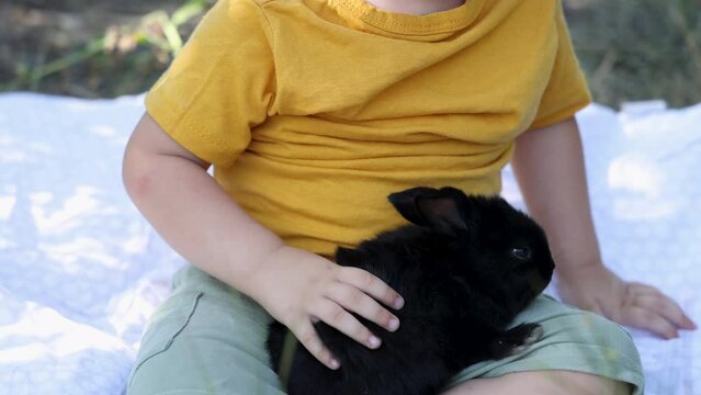 black cute rabbit in summer bag, in car under window or in kid baby boy hands arms. park or garden environment.easter spring is coming, adorable domestic animal pet