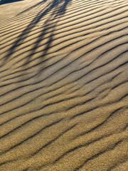 Background of lines in the sand with grass shade