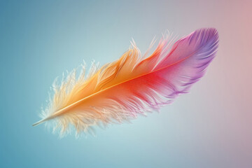 Colored bird feather floating in air on gradient background
