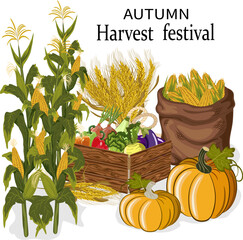Autumn harvest in vector illustration.Colored vector illustration with autumn harvest products and text.