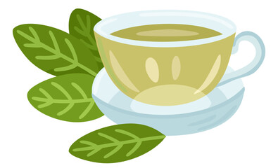 Green tea in cup. Tasty healthy hot drink. Vector isolated illustration
