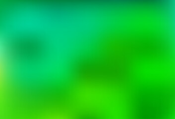 Light Green vector modern elegant background.