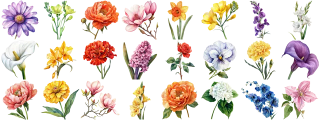 Plexiglas foto achterwand Watercolor flower set isolated background. Various floral collection of nature blooming flower clip art illustration element for retro flora wedding or romantic valentine card. crisp edges cut out. © Summit Art Creations