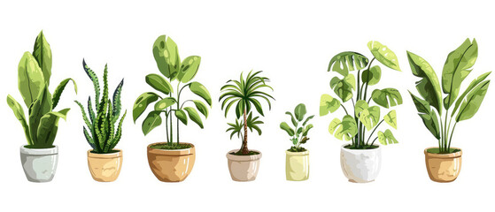 Vector illustration of houseplants in various stages of growth, in repurposed containers, isolated