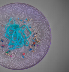 microplastics haute cuisine dinner for planet day