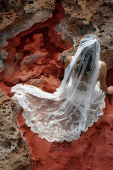 Jeune mariée en robe blanche et voile à dentelle assise sur de la roche rouge style grand canyon - obrazy, fototapety, plakaty