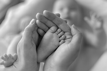 small foot of a newborn baby in mother's hands, mother's day concept, black and white photo, happy moments