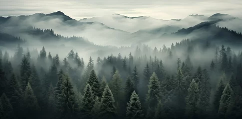 Wandcirkels aluminium Misty Forest Landscape: Aerial View of Dark Green Pine Trees in a Serene Mountainous Region © ekhtiar