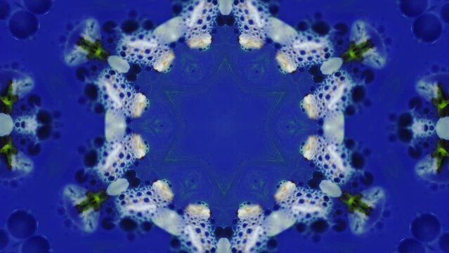 Petal kaleidoscope. Organic liquid. Defocused blue white paint flower natural soap foam ornate form oil drop symmetrical abstract background.