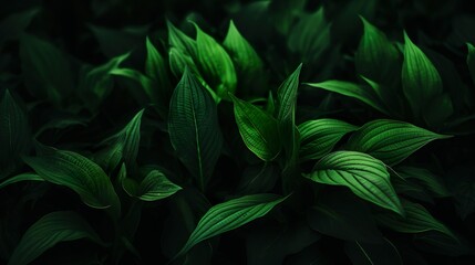 Nature's beauty is showcased through vivid green leaves set against a dark, moody background, creating a sense of tranquility and mystery