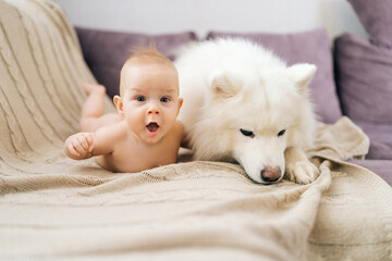 Adorable funny child sleeping with pet. Happy little child and lovely dog friendship. Portrait of...