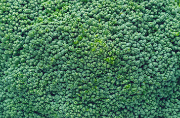 Broccoli texture background close up, top view - 780026860