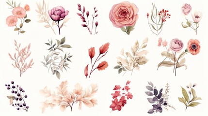A collection of various botanical illustrations featuring flowers and leaves in a range of soft pastel colors showcasing detailed artistry