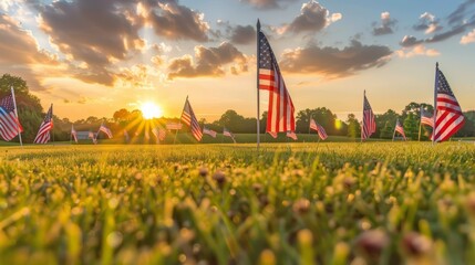 American flags on a sunny field during sunrise. Patriotic landscape. National holiday and remembrance concept - obrazy, fototapety, plakaty