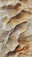 Close Up of a Rock Wall With Cracks