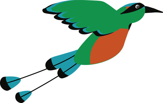 P&aacute;jaro Torogoz, Guardabarranco o Momoto