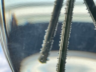 underwater oxygen balloons in water on flower stems
