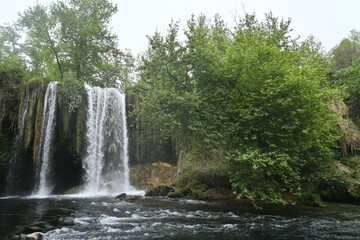waterfall in the forest