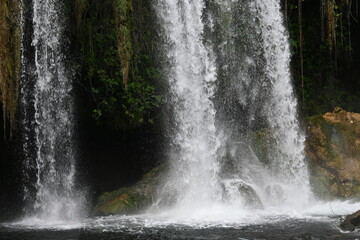 waterfall in the forest