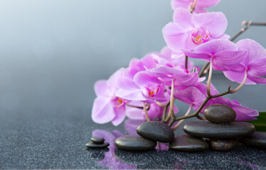 Pink orchid flowers and black spa stones on the gray table background. - 780036011