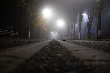 road in the night