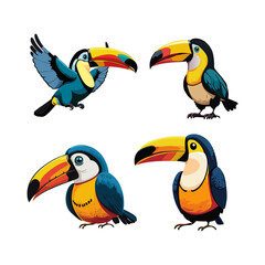 toucan bird collection