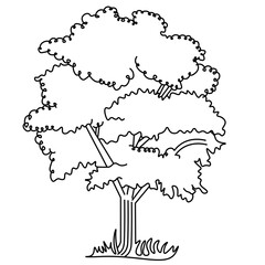 silhouette of a tree. Kids Funny animal line art drawing PNG