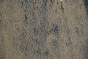 Natural beach sand texture