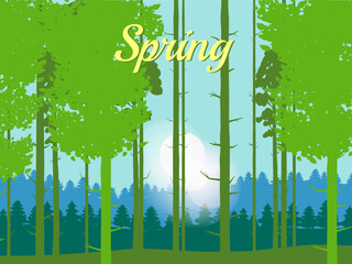 Spring forest landscape, green foliage, April, May month