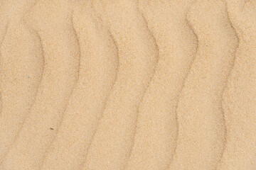 Fototapeta na wymiar Texture de sable sur la plage - Sable fin vague