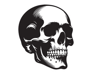 skull silhouette vector icon graphic logo design