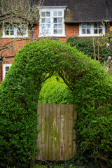 Wicket gate to garden and green hedge with arch, garden design in suburbs of London city, UK
