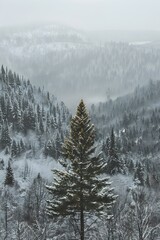 a tree in a snowy forest