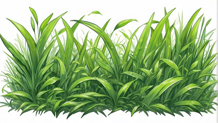 Fototapeta premium green grass sticker on white background