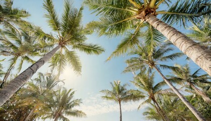 Fototapeta na wymiar Nostalgic Nook: Retro View of Palm Trees Against Blue Canopy