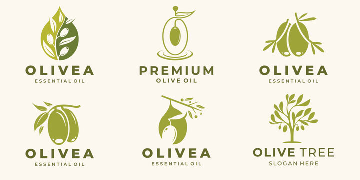set of olive logo design inspiration. Premium Vector set of olive oil labels. Olive tree, branches and drop.